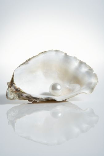 oyster shell with pearl