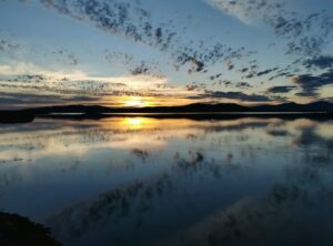 Deep Dive Homeopathy for ASD, ADHD, PANS and PANDAS