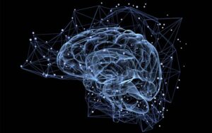 Brain Power Remedy Mix