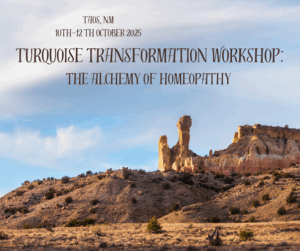 Turquoise Transformation Workshop