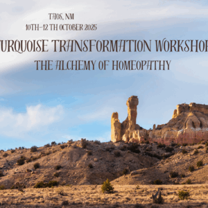 Turquoise Transformation Workshop