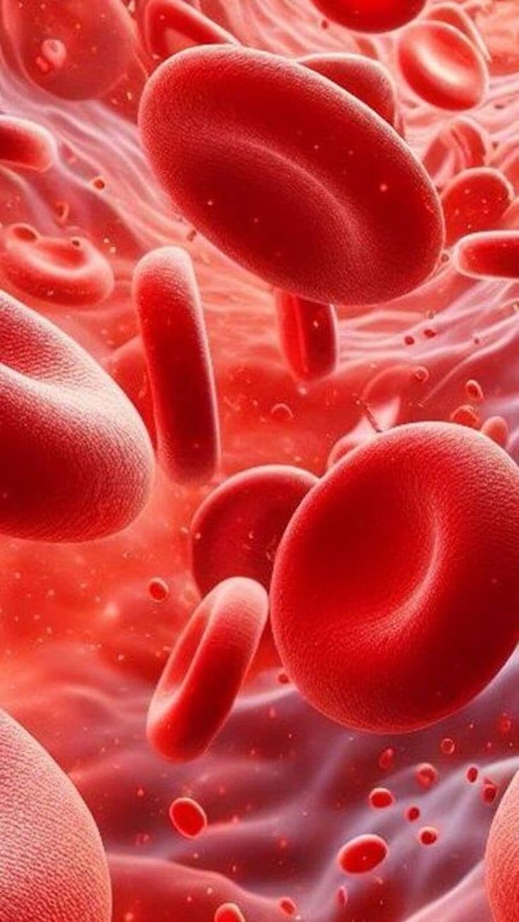 blood cells